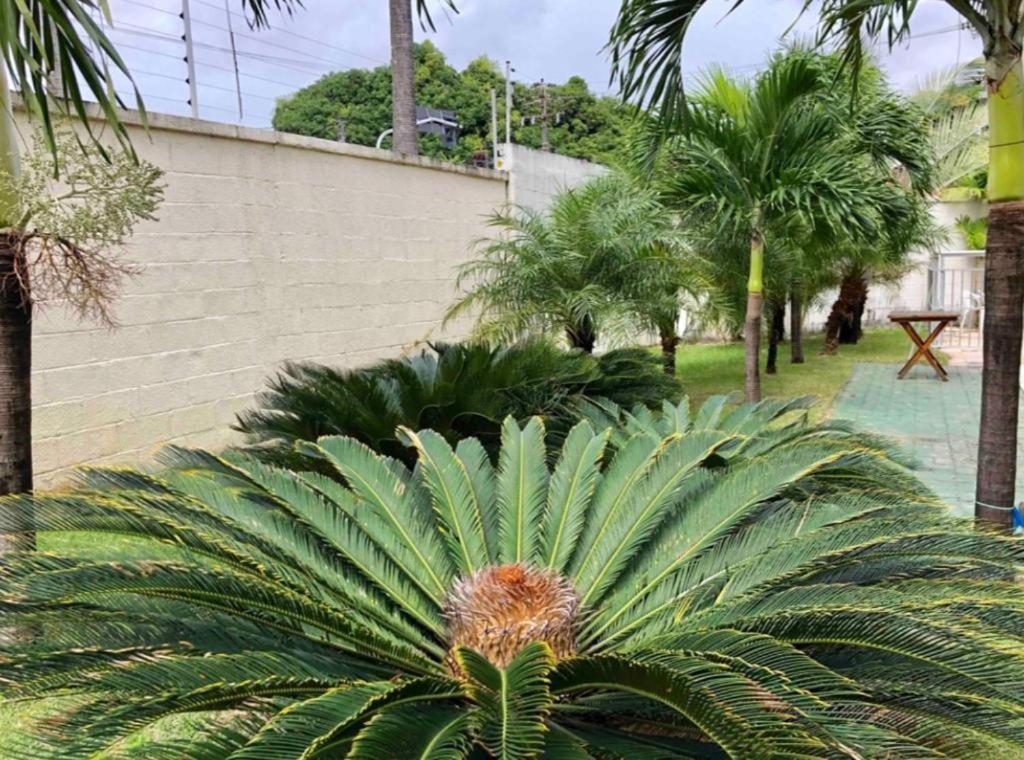 APT2 Piscina Netflix WiFi Ar Cond próx a 2 Shoppigns Fortaleza  Esterno foto